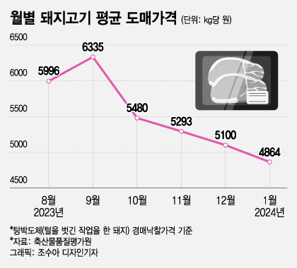 월별 돼지고기 평균 도매가격 추이