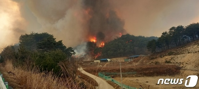 4일 경북 울진군 북면 두천리 야산에서 산불이 강한 바람을 타고 확산되고 있다. (소방청 제공) 2022.3.4/뉴스1 