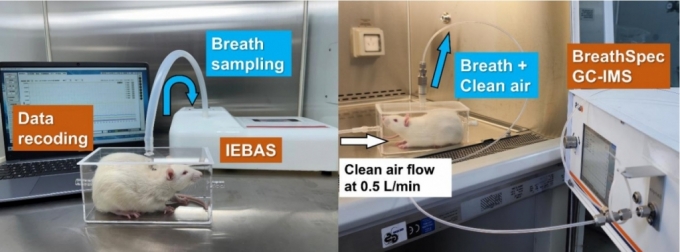 유리관에 실험용 쥐를 넣고 다양한 대기질에 노출시킨다. 생쥐의 날숨 속 기체 성분과 농도를 분석해 생체 내 어떤 변화가 나타나는지 측정한다. /사진=야오 마오셩 교수 연구팀 논문
