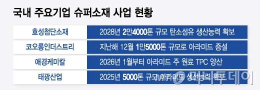 국내 주요기업 슈퍼소재 사업 현황/그래픽=윤선정