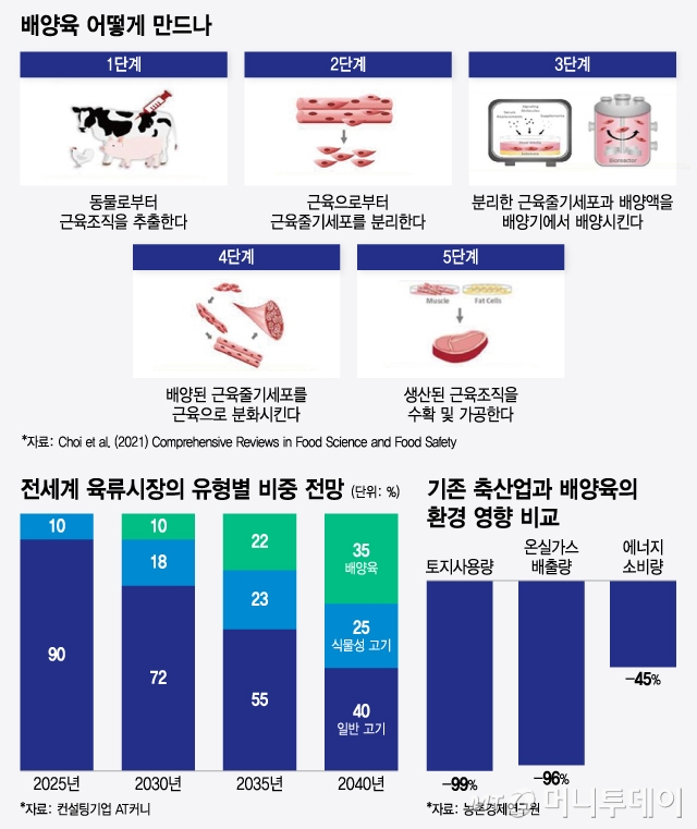 전세계 육류시장의 유형별 비중 전망, 배양육 어떻게 만드나, 기존 축산업과 배양육의 환경 영향 비교/그래픽=윤선정