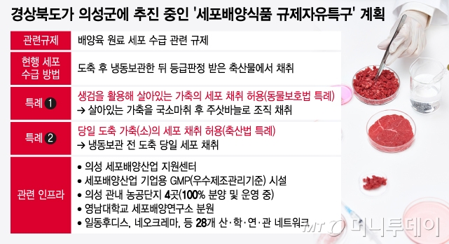 경상북도가 의성군에 추진 중인 &#039;세포배양식품 규제자유특구&#039; 계획/그래픽=윤선정