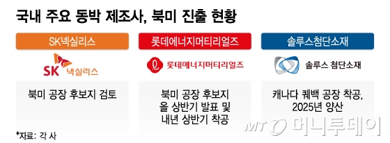 국내 주요 동박 제조사, 북미 진출 현황/그래픽=이지혜