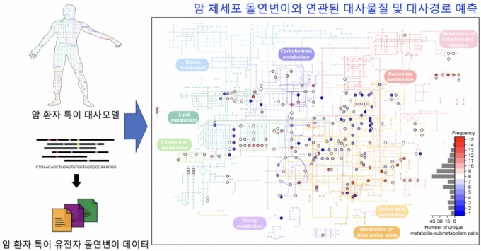 암 체세포 돌연변이와 연관된 대사물질 및 대사경로를 예측하는 컴퓨터 방법론 모식도/사진=KAIST