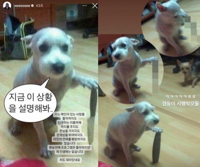 배우 한소희가 류준열과 환승 연애 의혹을 부인하며 올린 글(왼쪽)과 해당 사진 속 견주 A씨가 올린 강쇠 모습. /사진=SNS 갈무리