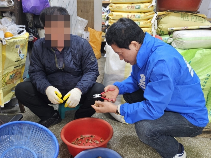 홍순헌 더불어민주당 후보가 지난 1일 부산 해운대구 좌동재래시장을 찾아 상인에게 호두 깎는 법을 배우고 있다./사진=이승주 기자