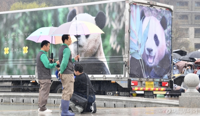 [용인=뉴시스] 사진공동취재단 = 강철원 사육사와 송영관 사육사가 3일 오전 경기 용인 에버랜드 장미원에서 푸바오 팬들에게 보내는 감사 편지를 낭독하고 있다. 2024.04.03. photo@newsis.com /사진=류현주