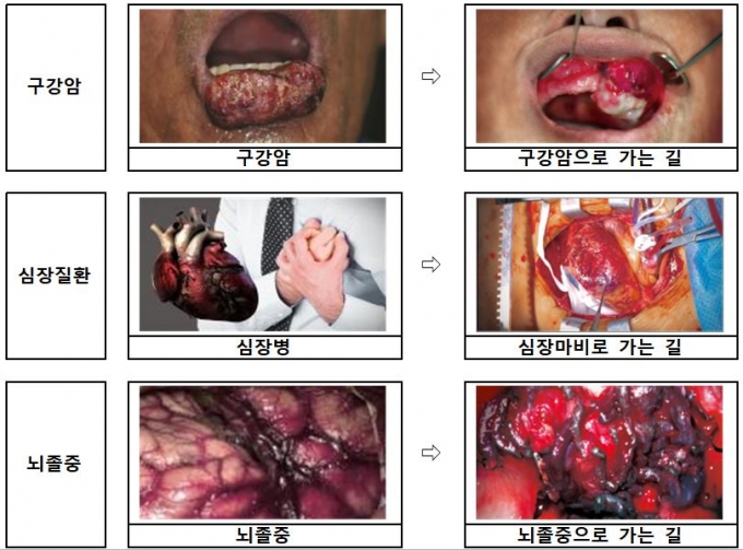 사진= 복지부