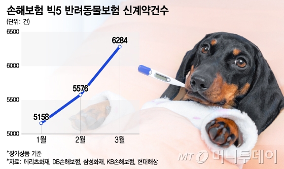 손해보험 빅5 반려동물보험 신계약건수/그래픽=이지혜