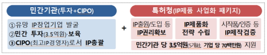 민관협력 IP전략지원 사업 추진(안)./사진제공=특허청