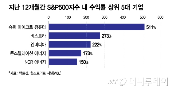 지난 12개월간 S&P500지수 내 수익률 상위 5대 기업/그래픽=이지혜