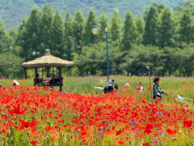 지난 19일 인천 남동구 인천대공원을 찾은 시민들의 모습. /사진=뉴스1