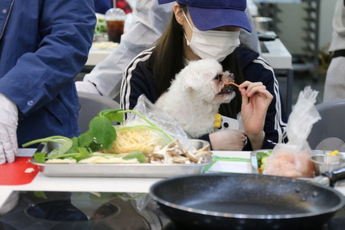 /사진제공=산림청 국립자연휴양림관리소