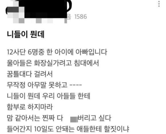 29일 여러 온라인 커뮤니티에는 '12사단 얼차려 받은 훈련병 6명 중 한 아버지 글'이라는 제목의 게시글이 확산되고 있다. 해당 글은 숨진 훈련병과 함께 얼차려를 받았던 6명 중 1명의 아버지라 주장하는 C씨의 글을 갈무리한 것이다./사진=온라인 커뮤니티 갈무리