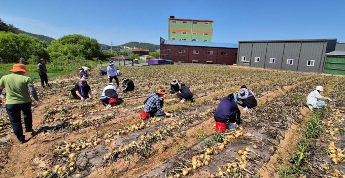 전라남도가 봄철 농번기 농촌인력 종합상황실을 가동하고 농촌인력중개센터 37개소, 공공형 계절근로제 10개소를 운영 중이다./사진제공=전라남도