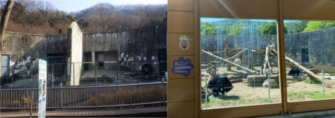 곰사육장의 예전 모습(왼쪽)과 개선한 현재 모습(오른쪽). 사육곰을 구조해 바꿔나간 게, 청주동물원 동물 복지가 높아지는 시작이었다./사진=남형도 기자, 청주동물원