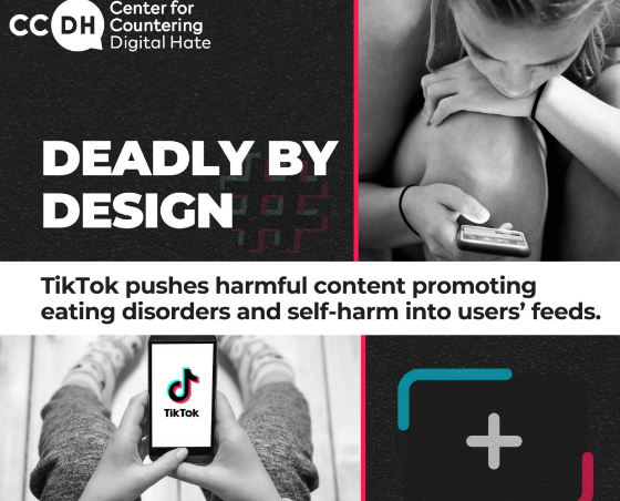 틱톡의 유해한 콘텐츠가 사용자의 섭식장애와 자해에 어떤 영향을 미치는지 분석한 기사./사진=디지털혐오대응센터