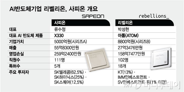 AI반도체기업 리벨리온, 사피온 개요/그래픽=최헌정