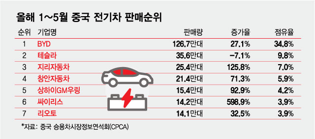 올해 1~5월 중국 전기차 판매순위/그래픽=최헌정