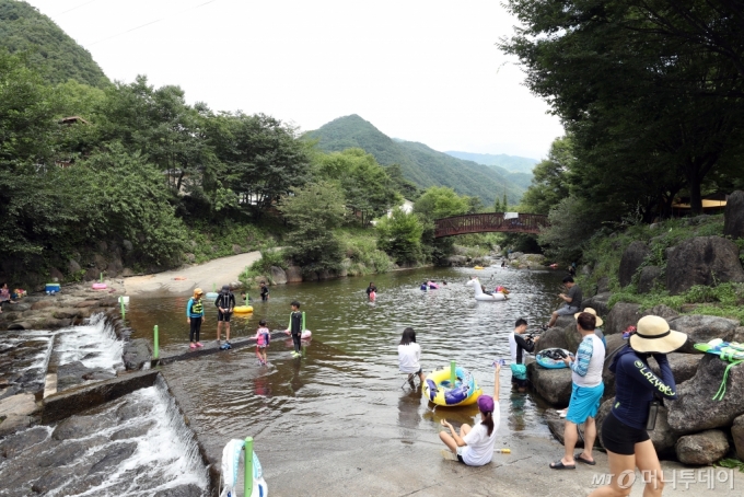 충북 단양군 한드미마을의 새밭계곡에서 마을 주민과 외지인들이 물놀이를 즐기고 있다. /사진=단양(충북)=이기범 기자 leekb@