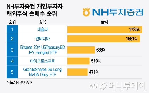 NH투자증권 개인투자자 해외주식 순매수 순위/그래픽=윤선정