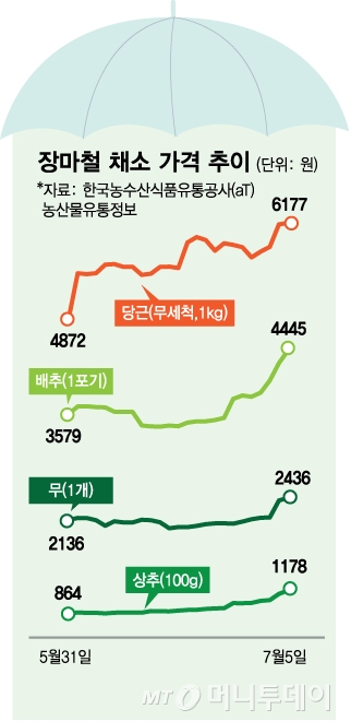 장마철 채소 가격 추이/그래픽=김다나