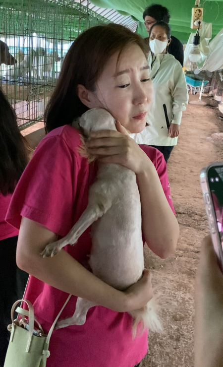 힘든 삶이 더는 없기를 간절히 바랐다. 좋은 가족 만나 오래도록 사랑 받기를. 아픈 기억이 다 지워지길 바라는 건 욕심일지라도, 밝은 기억으로 이불처럼 포근히 덮히기를./사진=남형도 기자