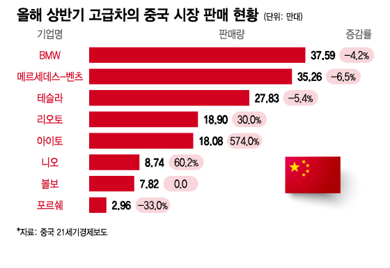 올해 상반기 고급차의 중국 시장 판매 현황/그래픽=이지혜