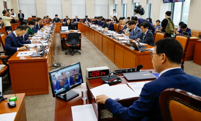 임지봉 서강대학교 법학전문대학원 교수가 16일 오후 서울 여의도 국회 행정안전위원회에서 열린 '민생위기 극복을 위한 특별조치법안' 입법 공청회에 진술인 자격으로 출석해 발언하고 있다. /사진=뉴스1