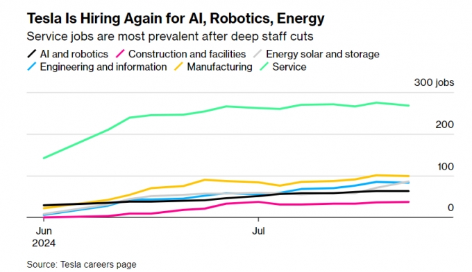 테슬라의 분야별 신규 직원 채용 추이 /사진=블룸버그