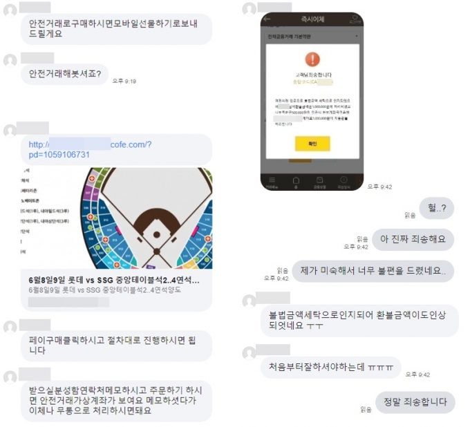 A씨가 중고 거래 사이트에서 판매자와 나눈 대화 내용. 안심 결제 링크를 보내주며 이곳에서 결제를 하자고 유도하고 돈을 입금하자 불법 세탁 계좌로 인지됐다며 추가 돈을 요구했다./사진=독자제공