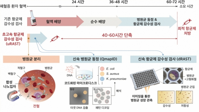  초고속 항균제 감수성 검사(uRAST) 진행 순서./사진=서울대병원