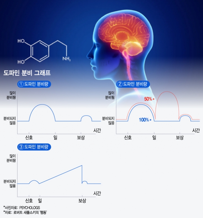 도파민 분비 그래프/그래픽=윤선정