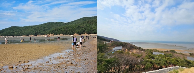 무의도-하나개 해수욕장과 휴양림 전경/사진제공=국립자연휴양림관리소