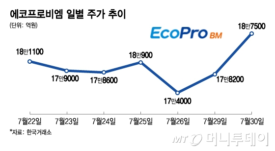 에코프로비엠 일별 주가 추이/그래픽=김지영 디자인 기자