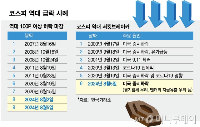 코스피 역대 급락 사례/그래픽=김현정