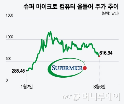 슈퍼 마이크로 컴퓨터 올들어 주가 추이/그래픽=윤선정