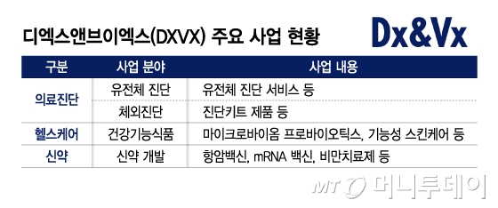 디엑스앤브이엑스(DXVX) 주요 사업 현황/그래픽=김지영