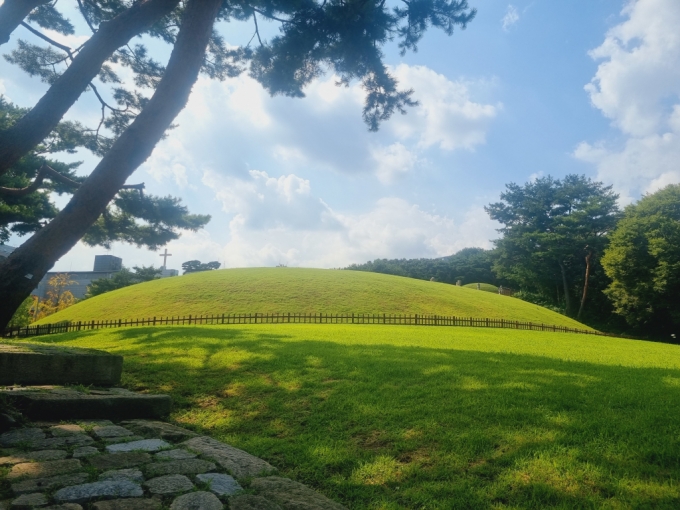 14일 세계문화유산 선릉(성종대왕릉)이 훼손돼 경찰이 수사에 나섰다. 사진은 선릉 훼손 현장이 통제되고 있는 모습. /사진=뉴스1