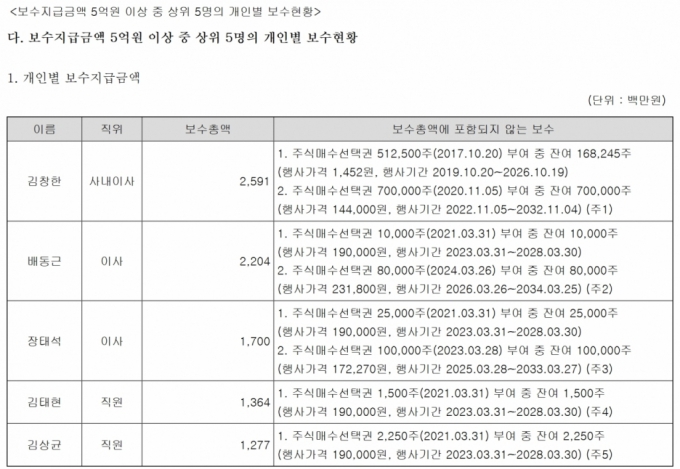 2024년 상반기 크래프톤 고액연봉자 상위 5인. /사진=금융감독원 전자공시시스템