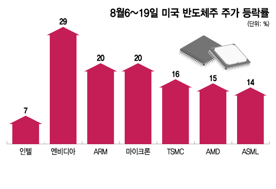 8월6~19일 미국 반도체주 주가 등락률. /그래픽=이지혜 기자.