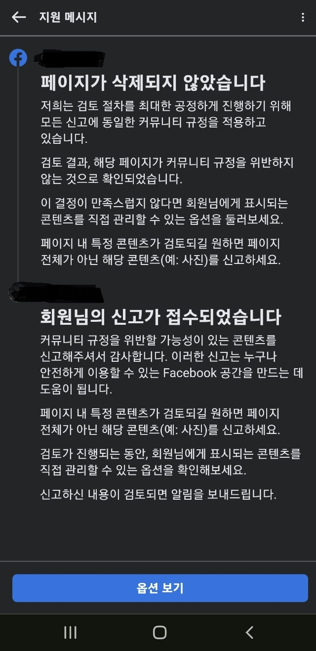 성인 광고 문구를 게재한 페이지에 대해 신고를 접수한 데 대해 페이스북이 보낸 답변을 캡처한 것. '커뮤니티 규정 위반이 아니다'라며 페이지를 삭제하지 않았다는 내용이다.