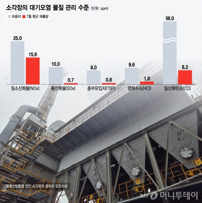 소각장의 대기오염 물질 관리 수준/그래픽=윤선정