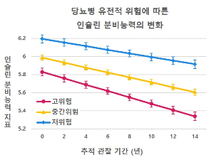 당뇨병 유전적 위험에 따른 인슐린 분비능력의 변화 그래프. 고위험군은 저위험군보다 1.83배 빠른 속도로 인슐린 분비능력이 감소했다./사진=서울대병원