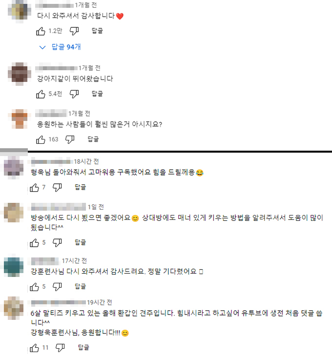 /사진=강형욱 유튜브 영상 댓글 갈무리