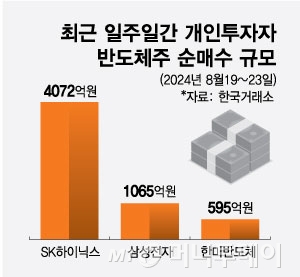 최근 일주일간 개인투자자 반도체주 순매수 규모. /그래픽=최헌정 디자인기자