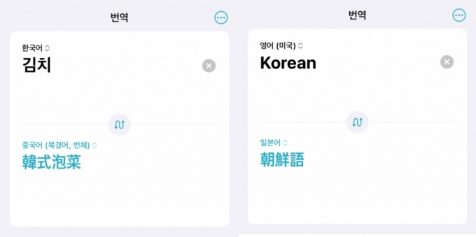 애플 아이폰 번역 앱에서 한국어 표현 일부에 대해 잘못된 번역 정보를 제공하고 있다. /사진=서경덕 교수 제공