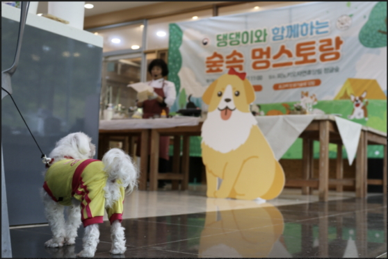 반려견 동반 국립자연휴양림에서 운영되고 있는 숲속 멍스토랑 모습./사진제공=국립자연휴양림과리소