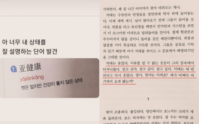 /사진=이윤진 인스타그램 캡처