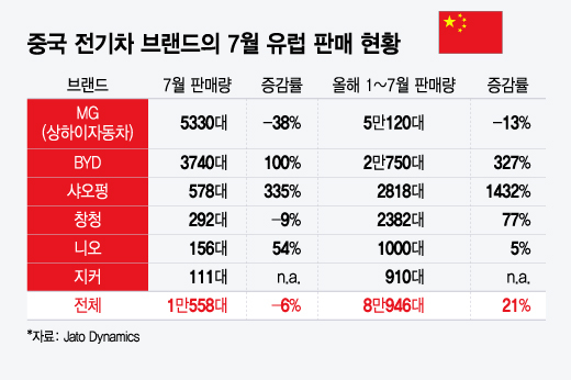 중국 전기차 브랜드의 7월 유럽 판매 현황/그래픽=윤선정